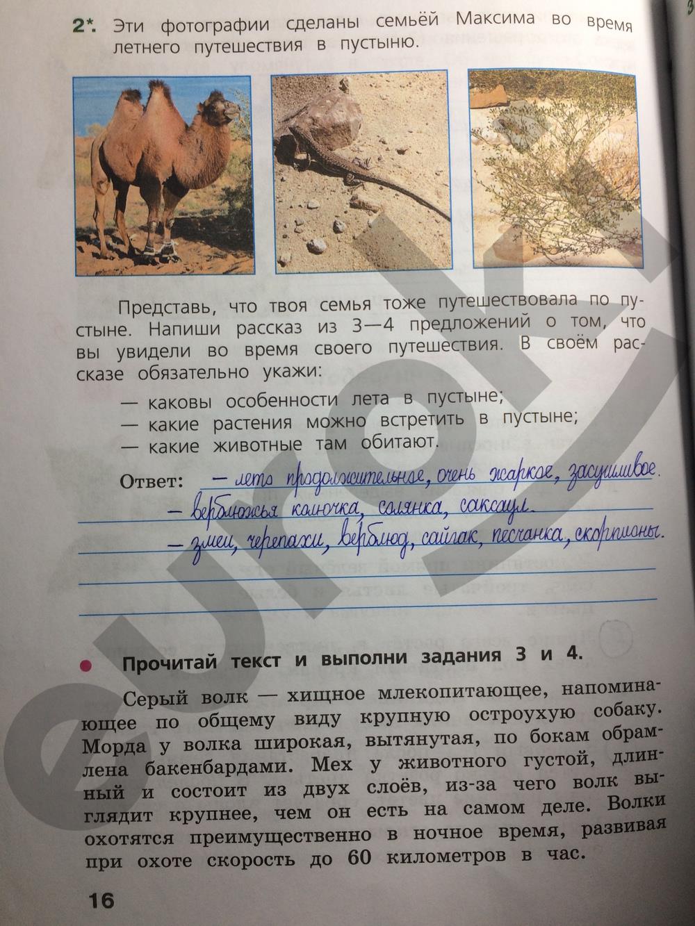 Ведет хозяйство в пустыне запиши план сообщений. ВПР по окружающему миру 4 класс рабочая тетрадь Демидова. ВПР 4 класс окружающий мир стр 16. ВПР окружающий мир 4 класс стр 16 задание 5. Окружающий мир 4 класс Всероссийская проверочная стр 16.