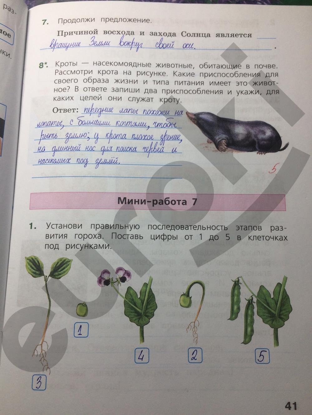 Впр 4 класс окружающий мир стр. Гдз по ВПР 4 класс окружающий мир ответы. Рабочая тетрадь по ВПР 4 класс окружающий мир. ВПР по окружающему миру 4 класс с ответами. Готовые домашние задания по ВПР 4 класс.