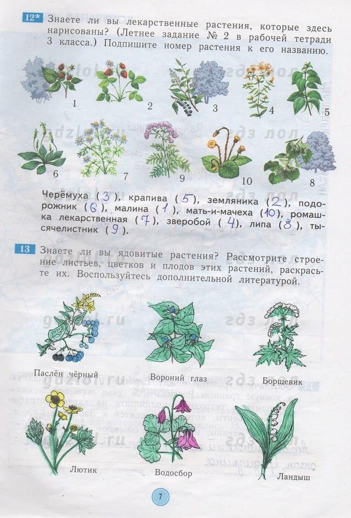 гдз 4 класс рабочая тетрадь страница 7 окружающий мир Дмитриева, Казаков