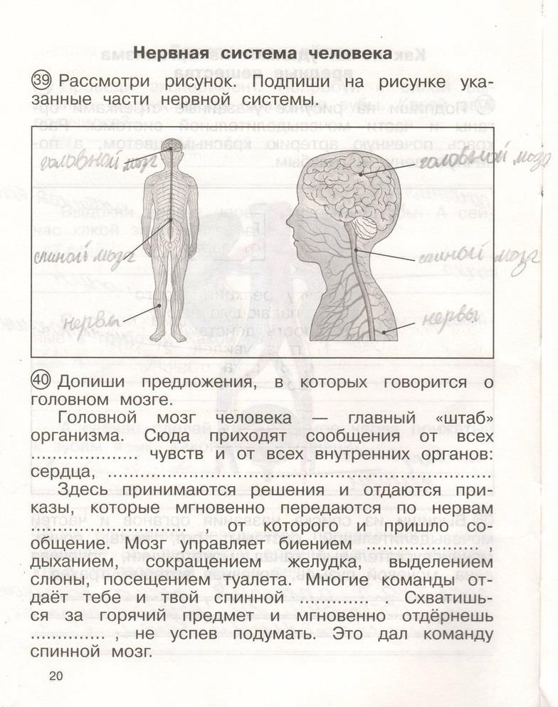гдз 4 класс рабочая тетрадь часть 2 страница 20 окружающий мир Федотова, Трафимова