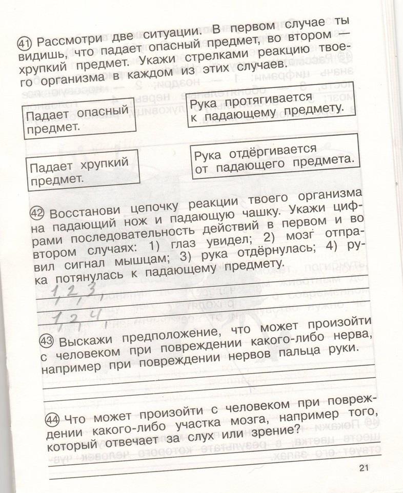 гдз 4 класс рабочая тетрадь часть 2 страница 21 окружающий мир Федотова, Трафимова