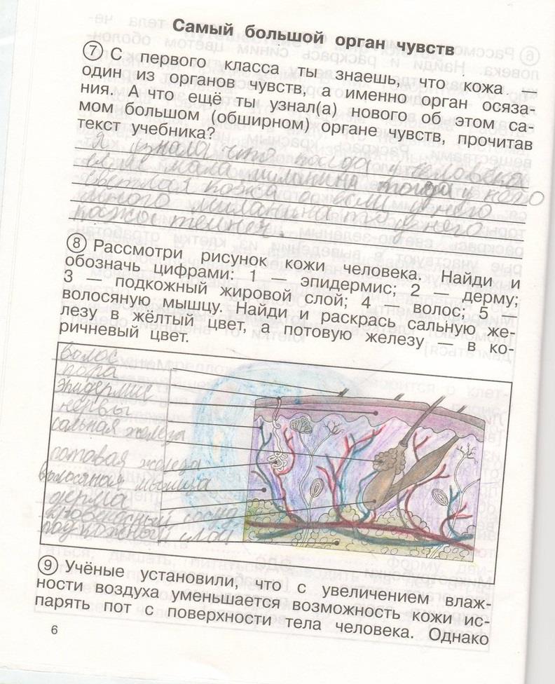 гдз 4 класс рабочая тетрадь часть 2 страница 6 окружающий мир Федотова, Трафимова