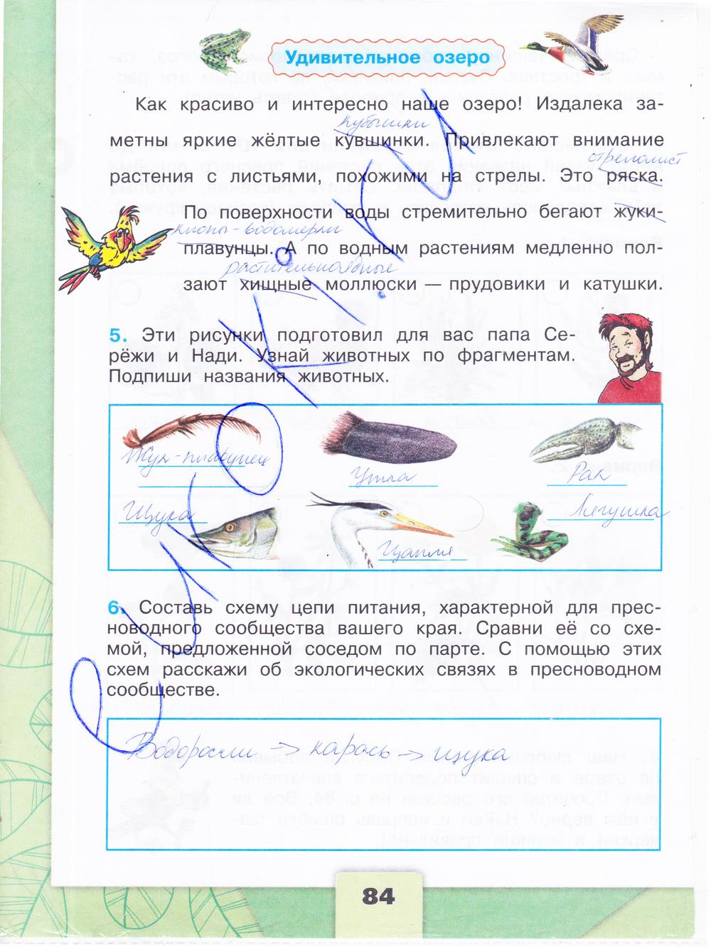 гдз 4 класс рабочая тетрадь часть 1 страница 84 окружающий мир Плешаков, Крючкова