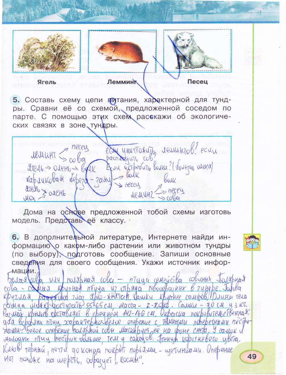гдз 4 класс рабочая тетрадь часть 1 страница 49 окружающий мир Плешаков, Новицкая