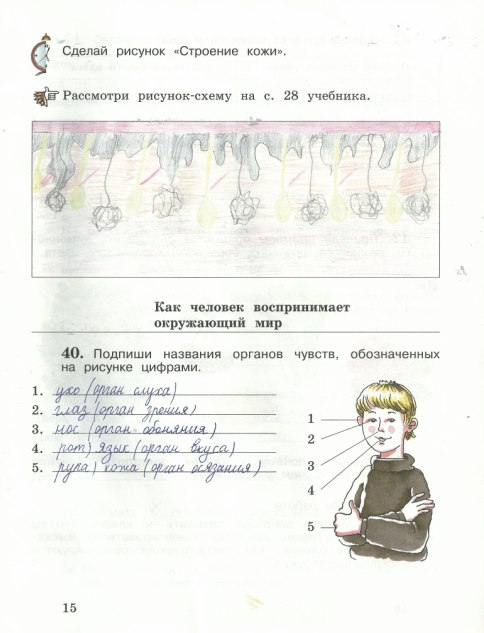 гдз 4 класс рабочая тетрадь часть 1 страница 15 окружающий мир Виноградова, Калинова
