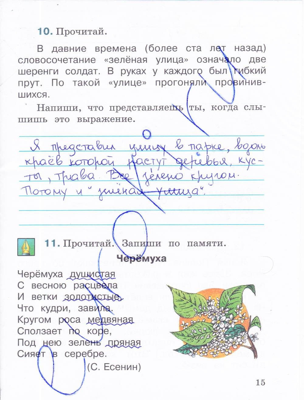 гдз 4 класс рабочая тетрадь часть 2 страница 15 русский язык Зеленина, Хохлова