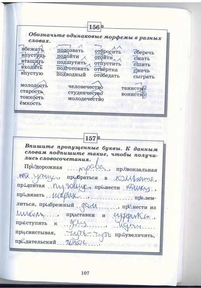 гдз 5 класс рабочая тетрадь страница 107 русский язык Бабайцева, Беднарская