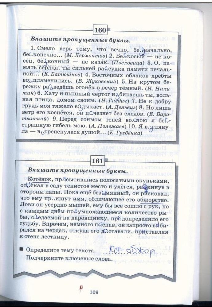 гдз 5 класс рабочая тетрадь страница 109 русский язык Бабайцева, Беднарская