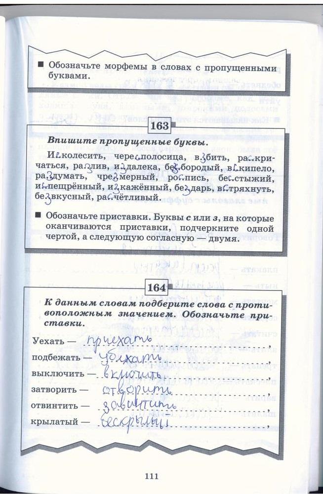 гдз 5 класс рабочая тетрадь страница 111 русский язык Бабайцева, Беднарская