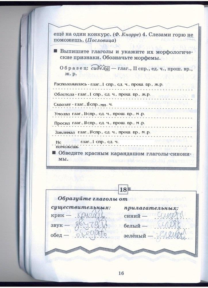 гдз 5 класс рабочая тетрадь страница 16 русский язык Бабайцева, Беднарская
