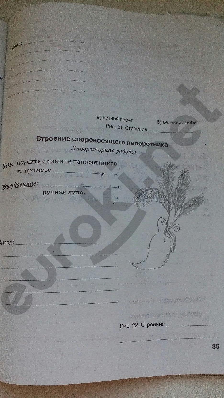 гдз 5 класс рабочая тетрадь страница 35 биология Бодрова