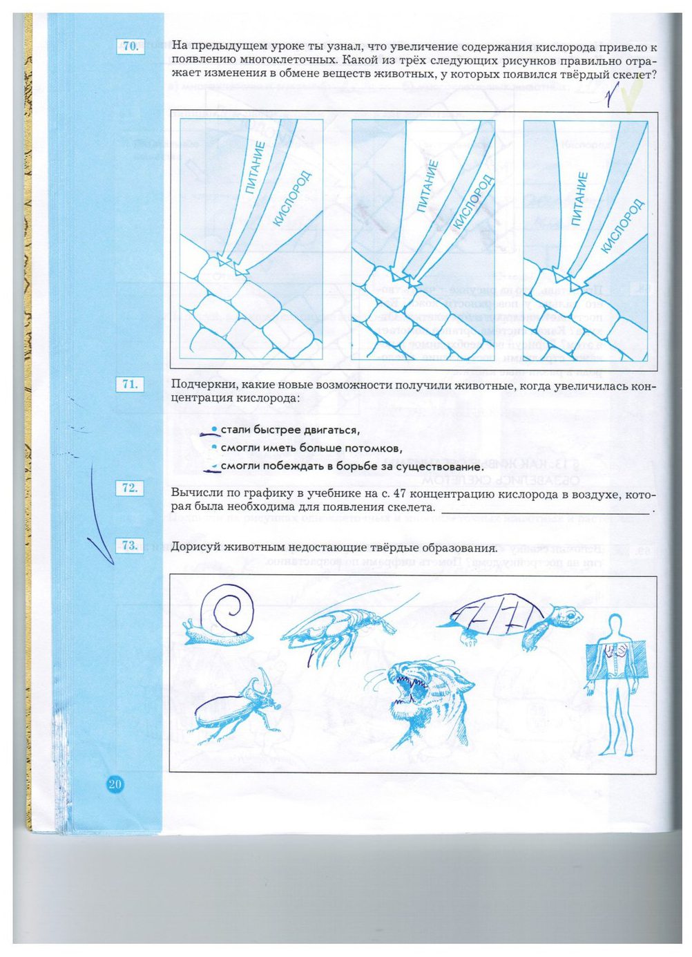 гдз 5 класс рабочая тетрадь страница 20 природоведение Бурский, Смоктунович