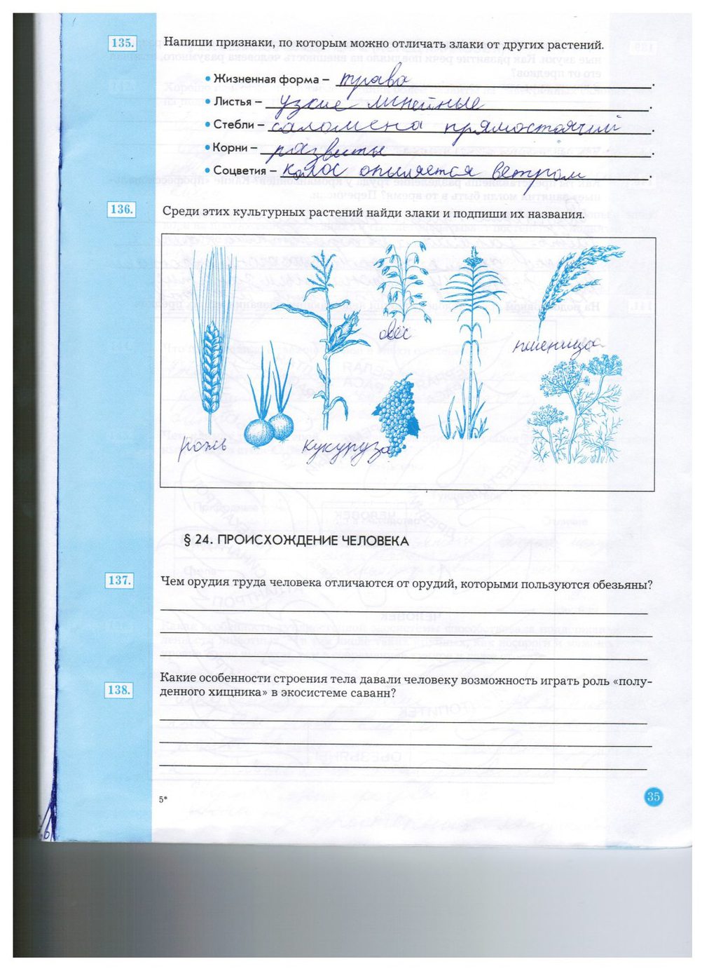 гдз 5 класс рабочая тетрадь страница 35 природоведение Бурский, Смоктунович