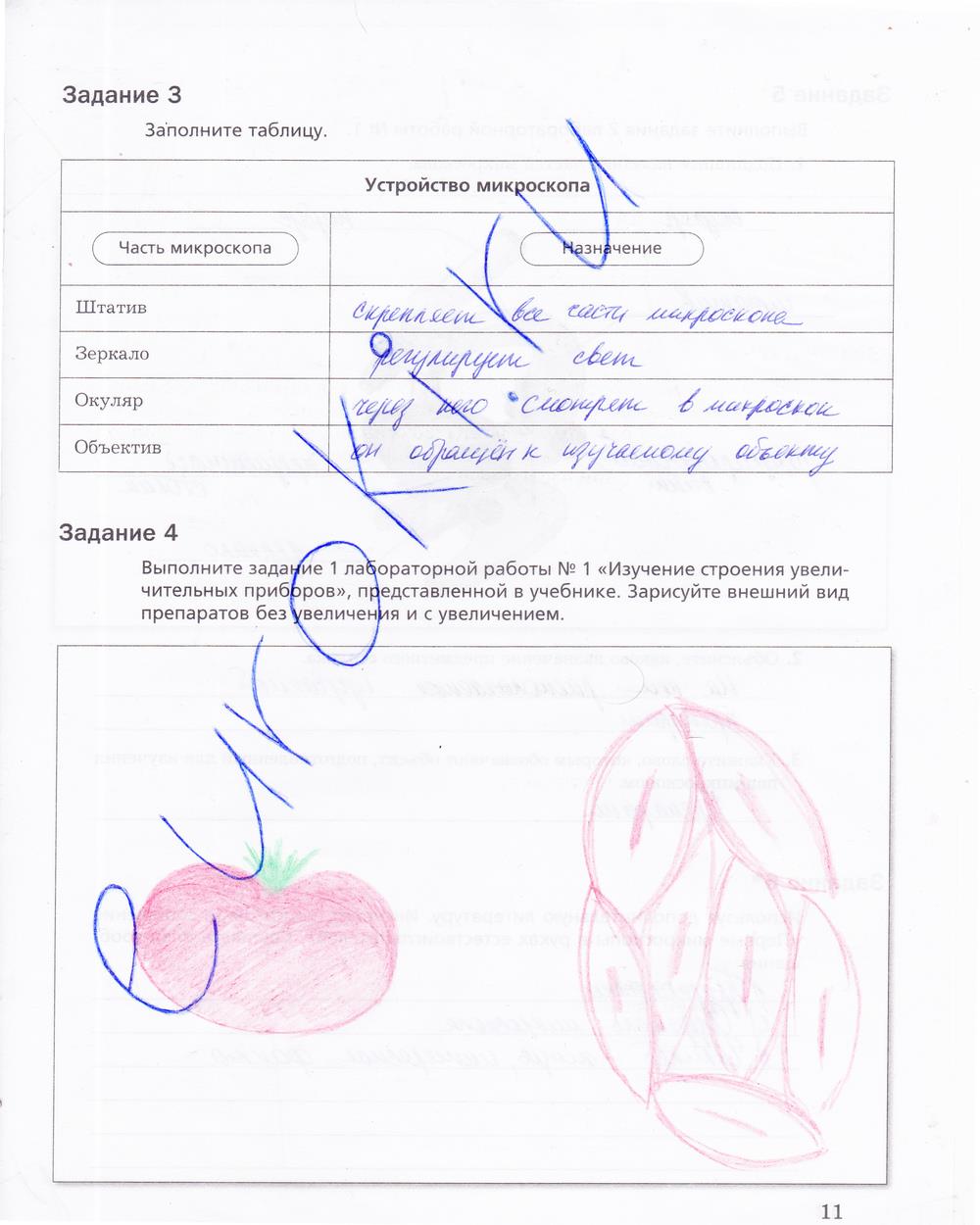 гдз 5 класс рабочая тетрадь страница 11 биология Корнилова, Николаев