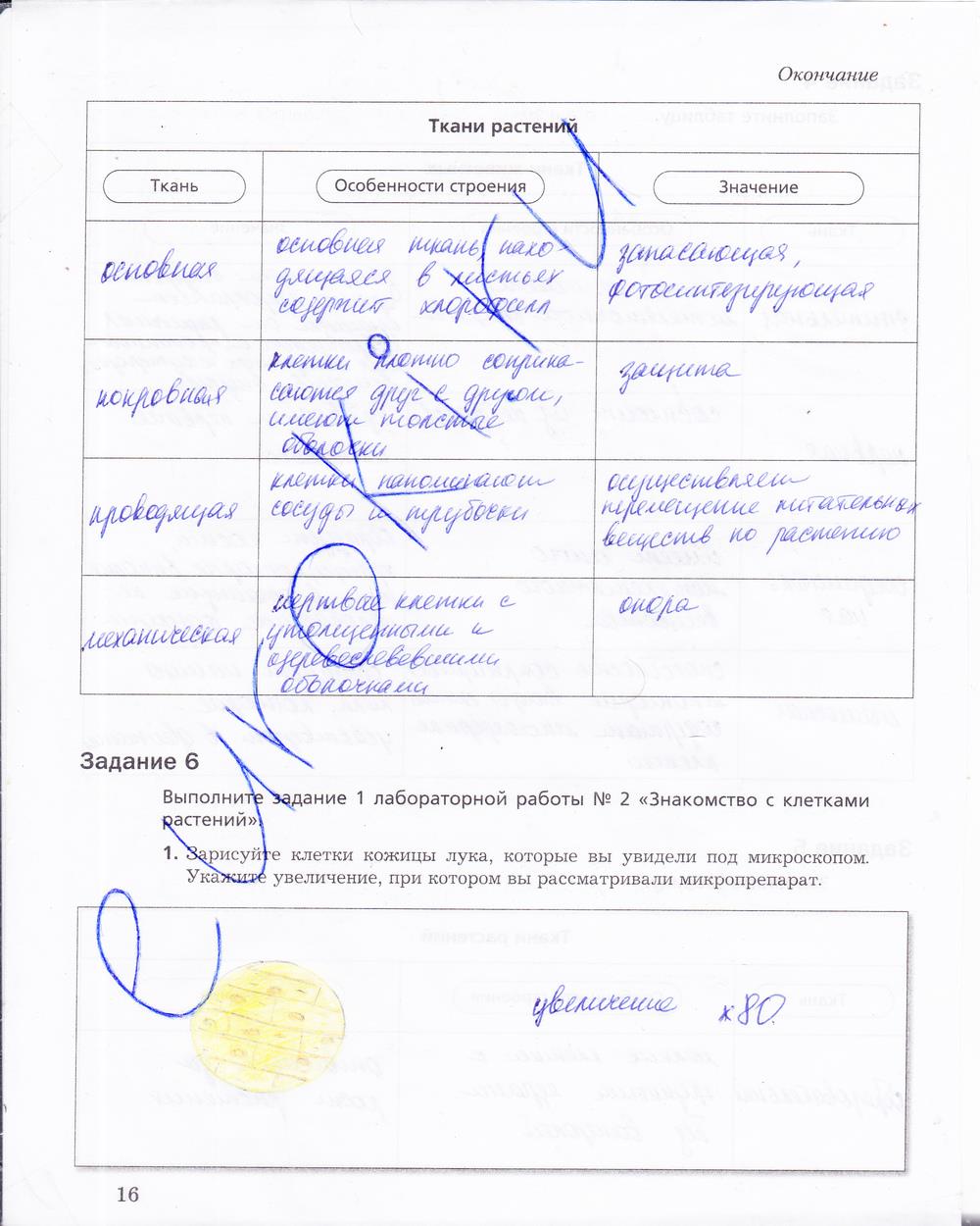 гдз 5 класс рабочая тетрадь страница 16 биология Корнилова, Николаев