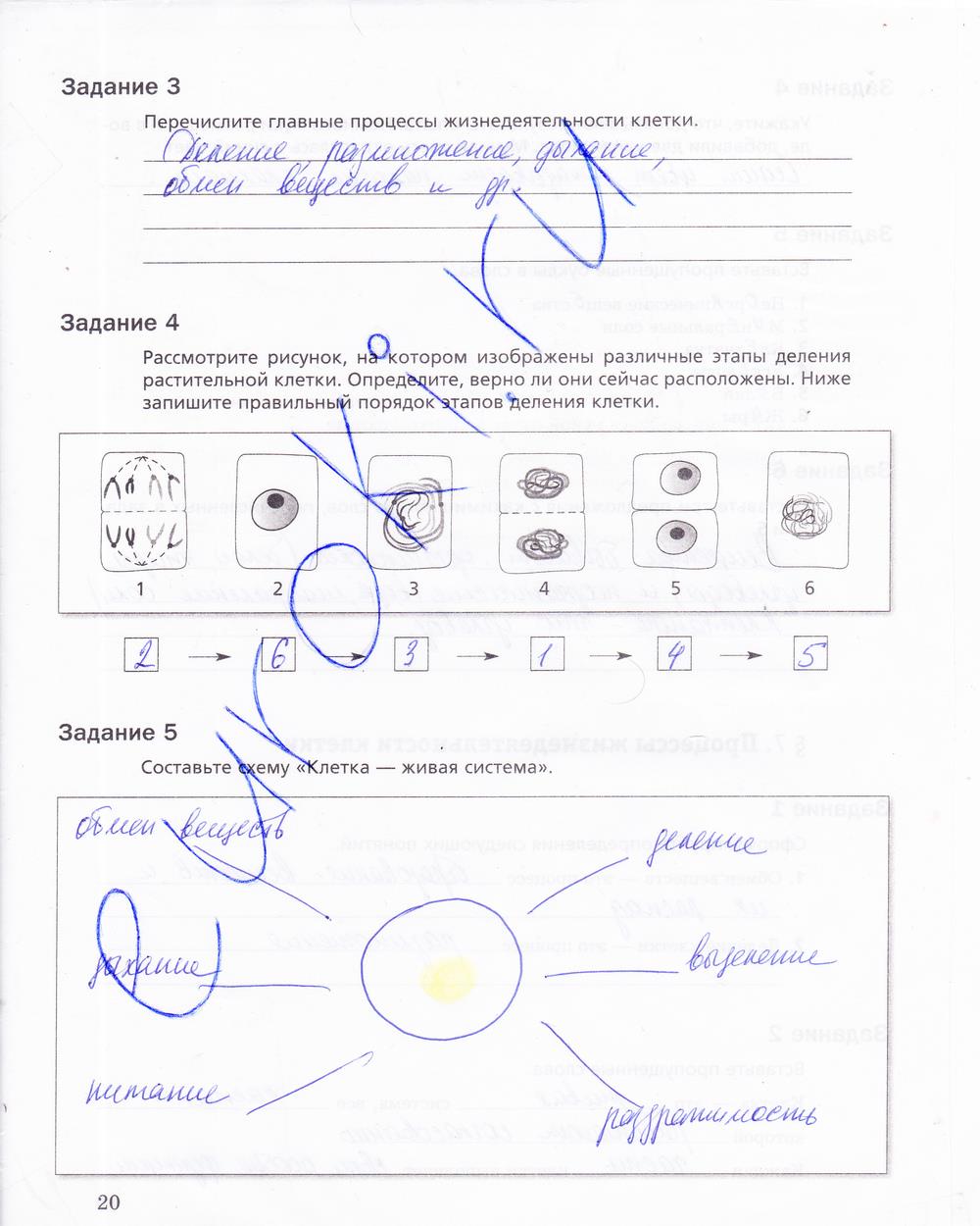 гдз 5 класс рабочая тетрадь страница 20 биология Корнилова, Николаев