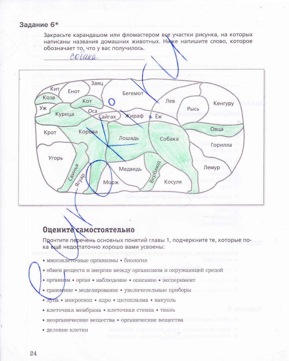 гдз 5 класс рабочая тетрадь страница 24 биология Корнилова, Николаев