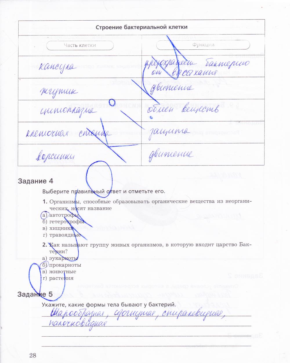 гдз 5 класс рабочая тетрадь страница 28 биология Корнилова, Николаев