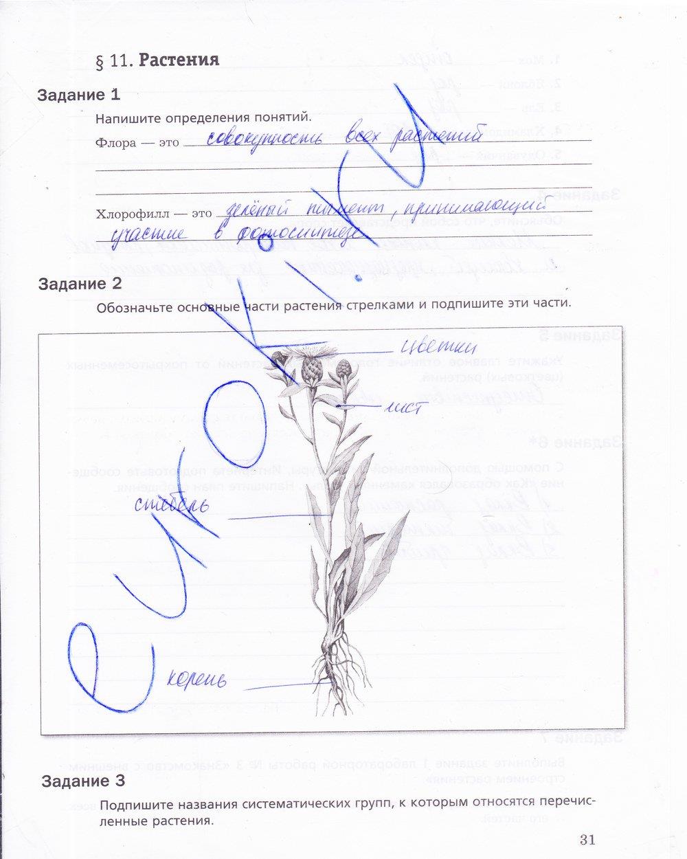 гдз 5 класс рабочая тетрадь страница 31 биология Корнилова, Николаев