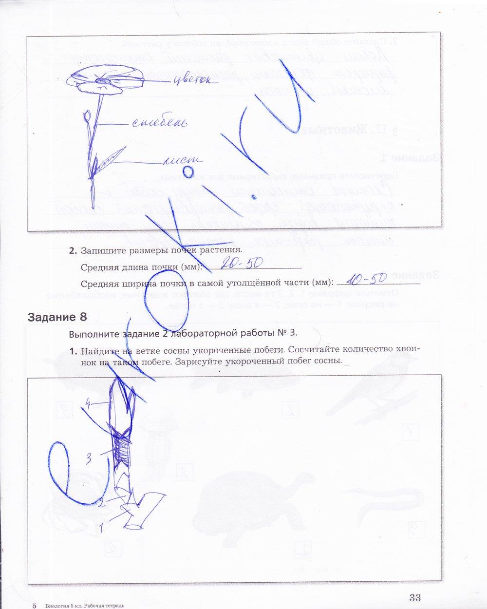 гдз 5 класс рабочая тетрадь страница 33 биология Корнилова, Николаев