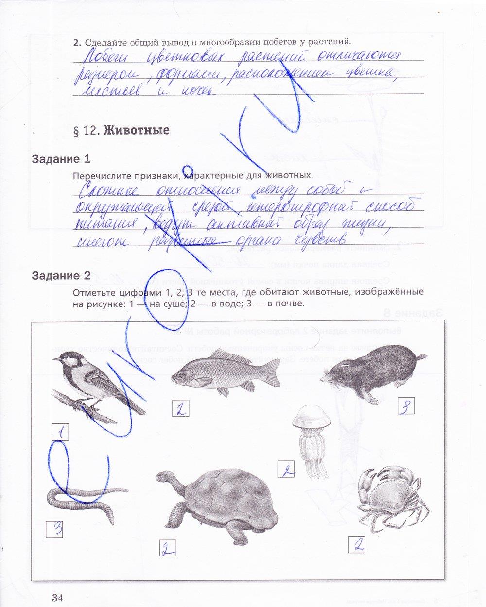 гдз 5 класс рабочая тетрадь страница 34 биология Корнилова, Николаев