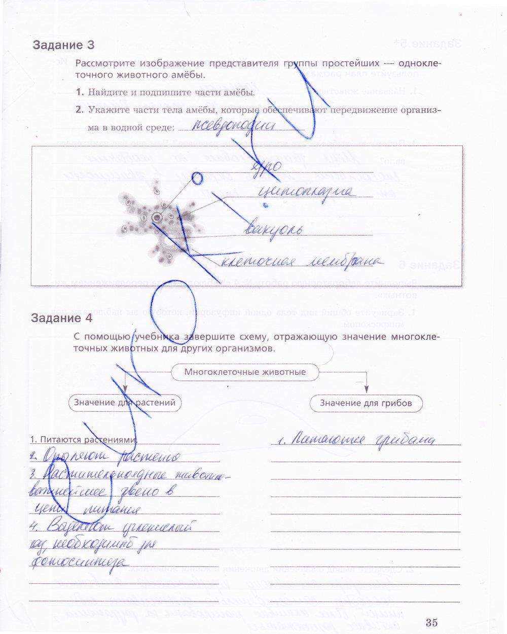 гдз 5 класс рабочая тетрадь страница 35 биология Корнилова, Николаев
