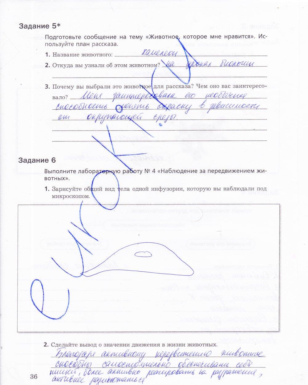 гдз 5 класс рабочая тетрадь страница 36 биология Корнилова, Николаев