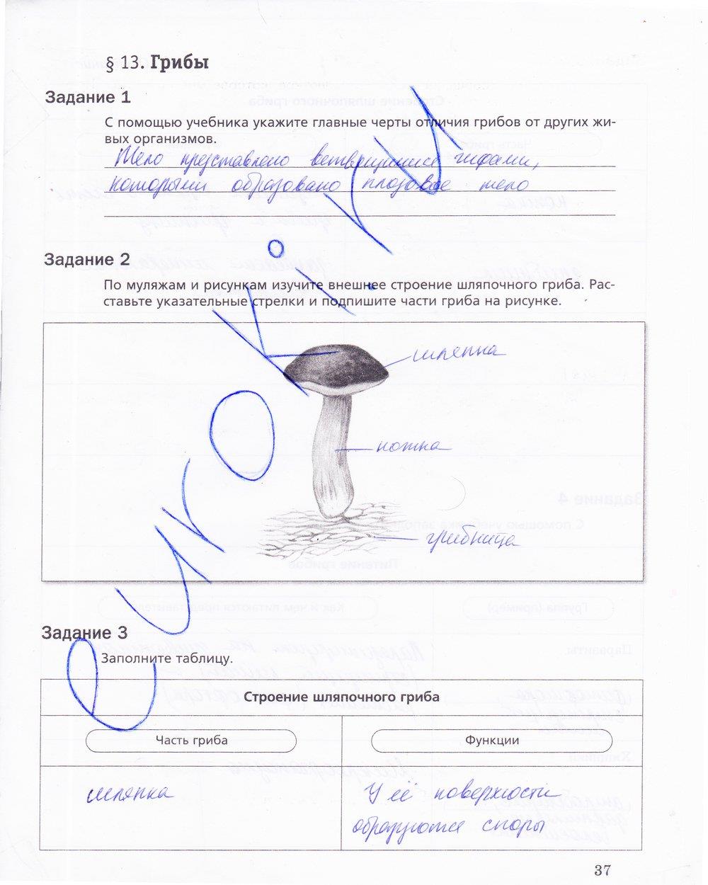 гдз 5 класс рабочая тетрадь страница 37 биология Корнилова, Николаев