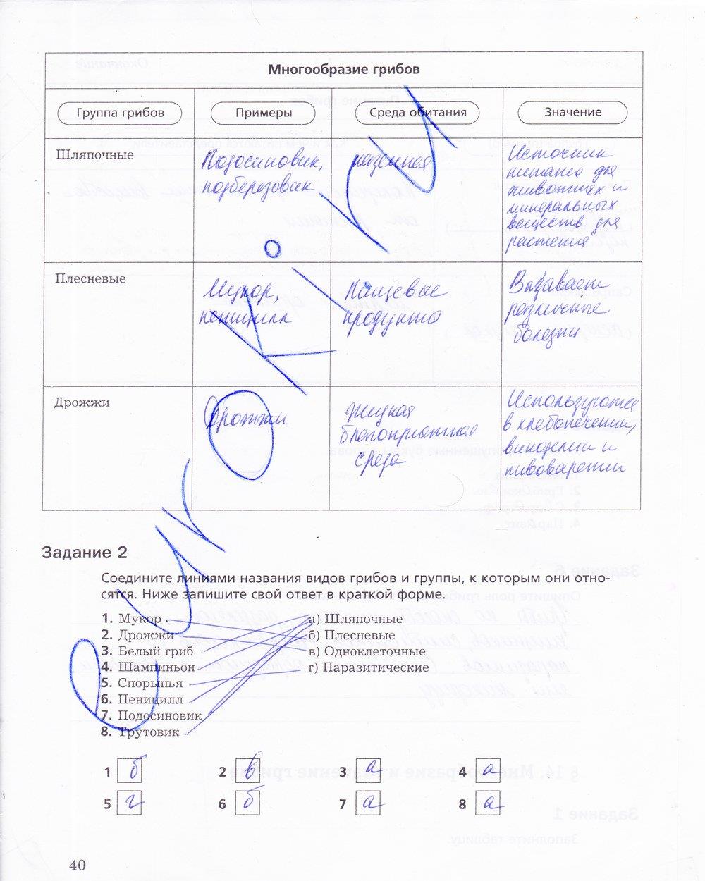 гдз 5 класс рабочая тетрадь страница 40 биология Корнилова, Николаев