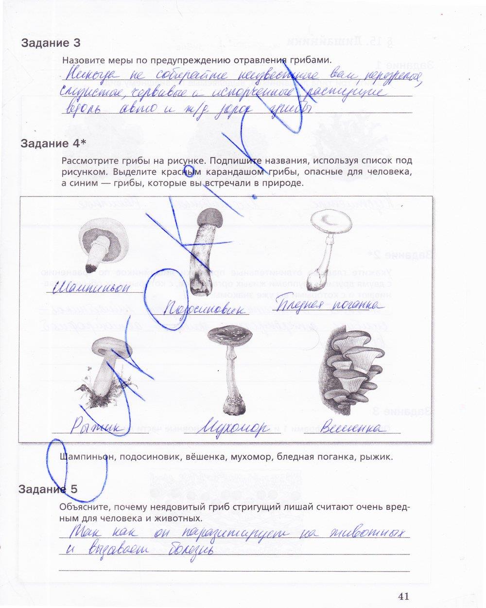 гдз 5 класс рабочая тетрадь страница 41 биология Корнилова, Николаев