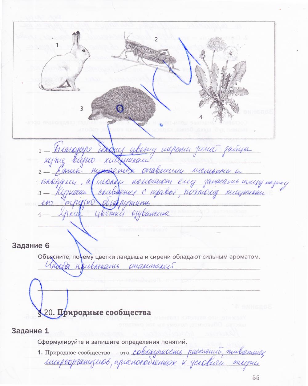 гдз 5 класс рабочая тетрадь страница 55 биология Корнилова, Николаев