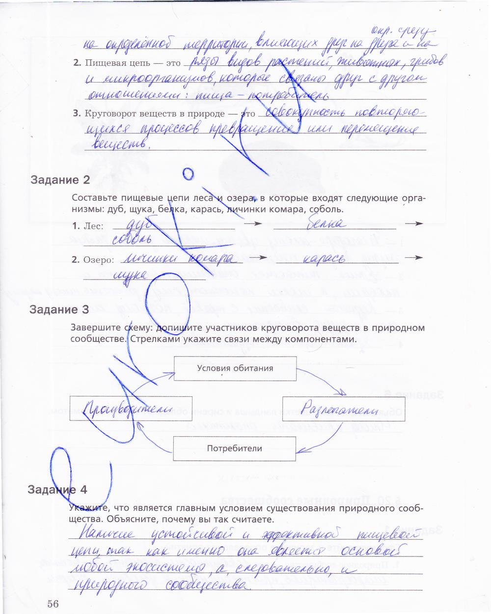 гдз 5 класс рабочая тетрадь страница 56 биология Корнилова, Николаев
