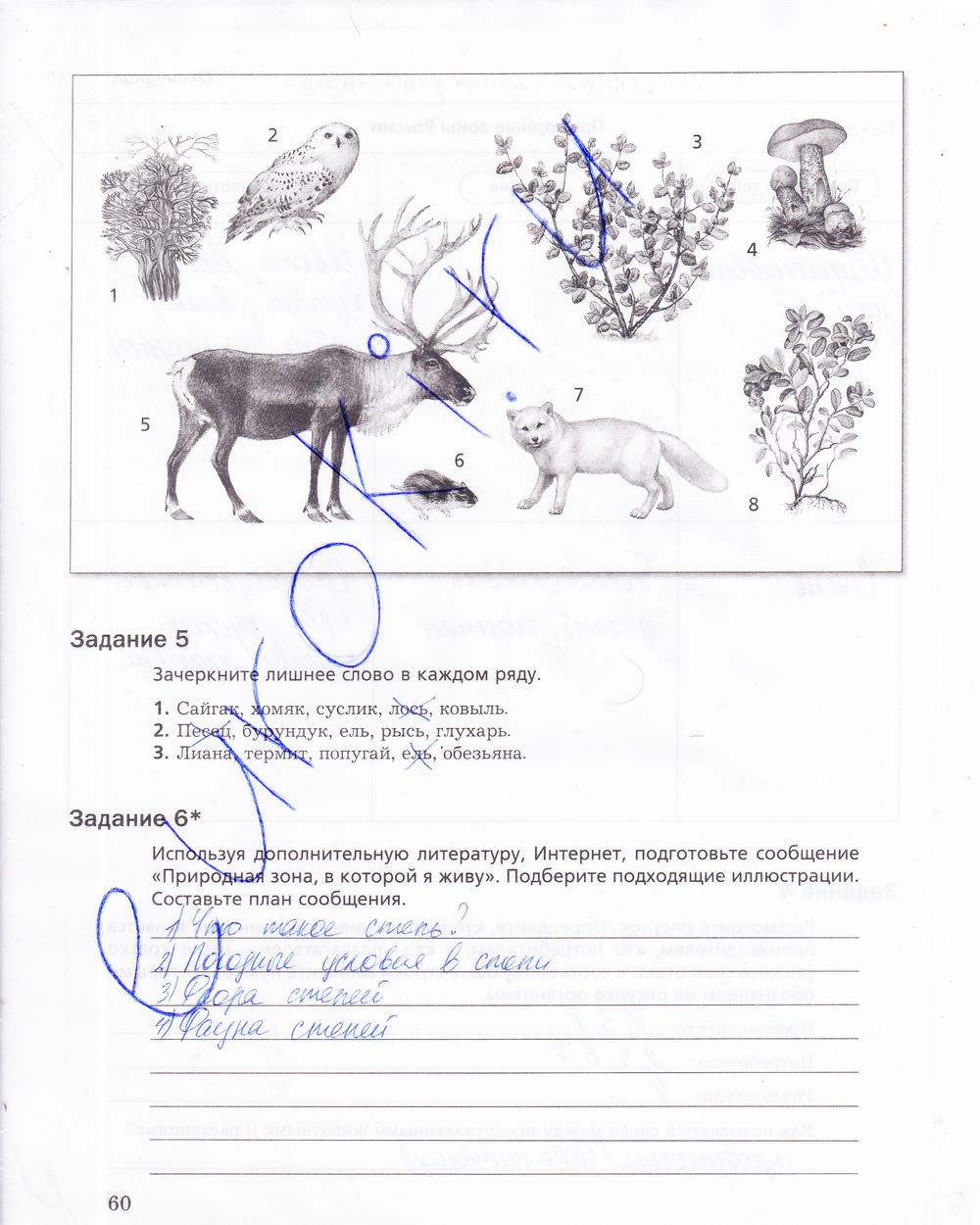 гдз 5 класс рабочая тетрадь страница 60 биология Корнилова, Николаев