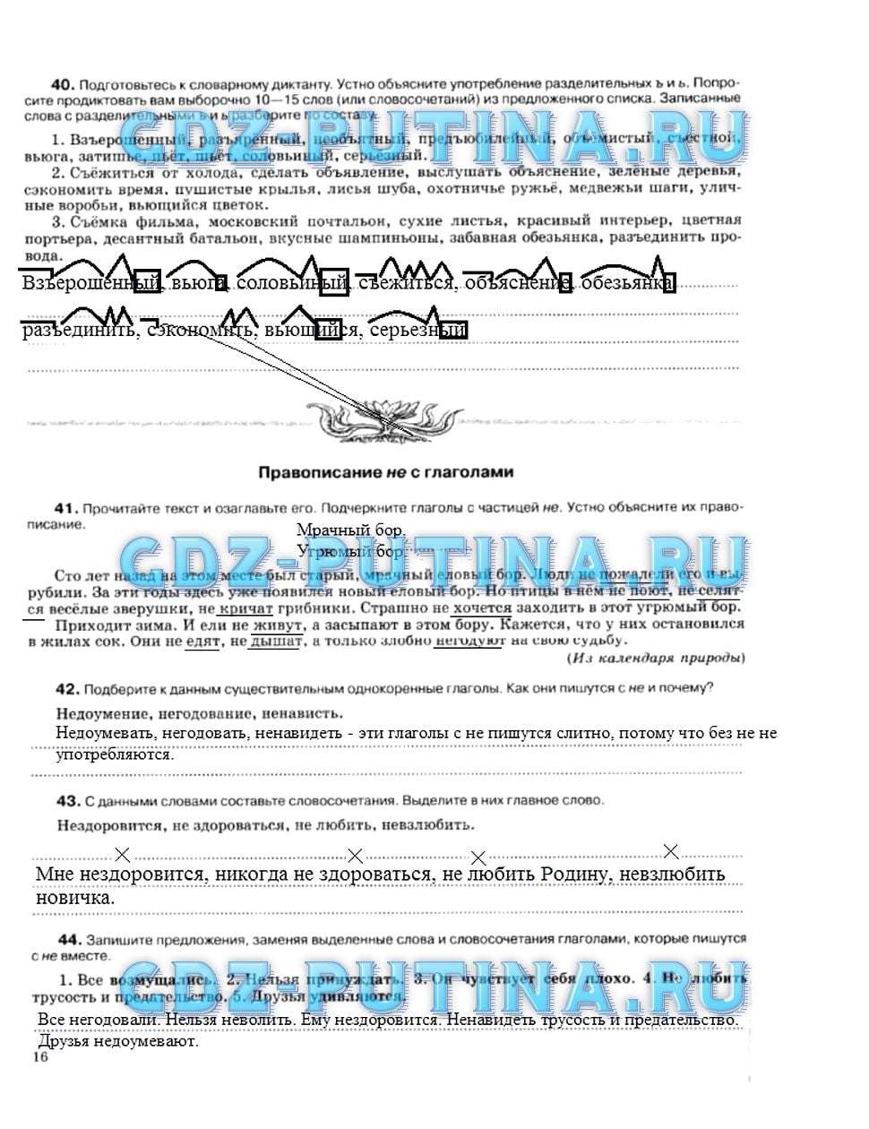 гдз 5 класс рабочая тетрадь страница 16 русский язык Ларионова