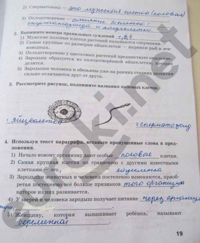 гдз 5 класс рабочая тетрадь страница 19 биология Новикова, Романова