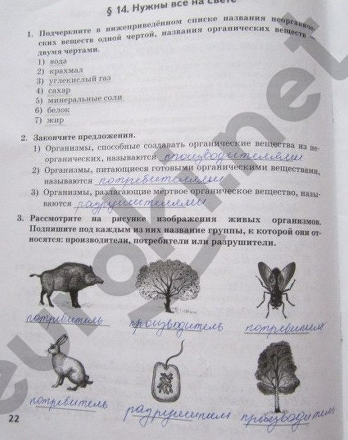 гдз 5 класс рабочая тетрадь страница 22 биология Новикова, Романова