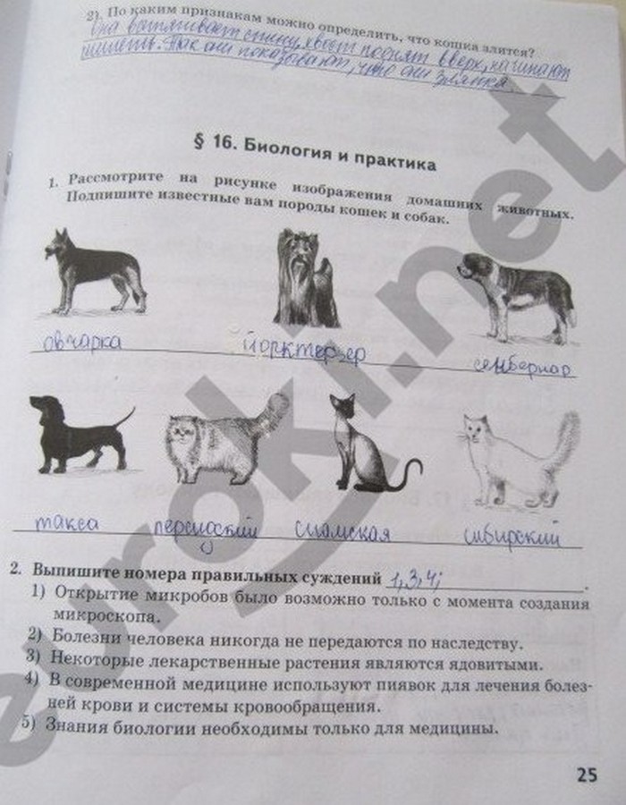 гдз 5 класс рабочая тетрадь страница 25 биология Новикова, Романова
