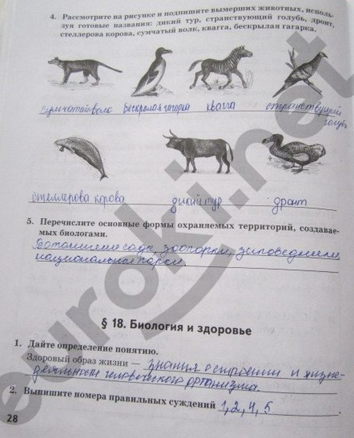 гдз 5 класс рабочая тетрадь страница 28 биология Новикова, Романова