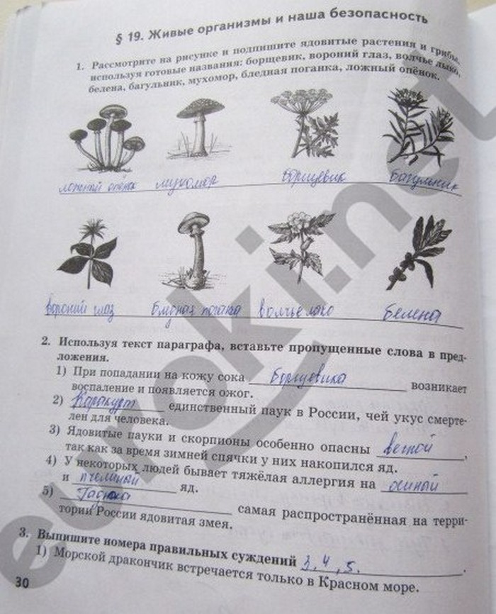 гдз 5 класс рабочая тетрадь страница 30 биология Новикова, Романова