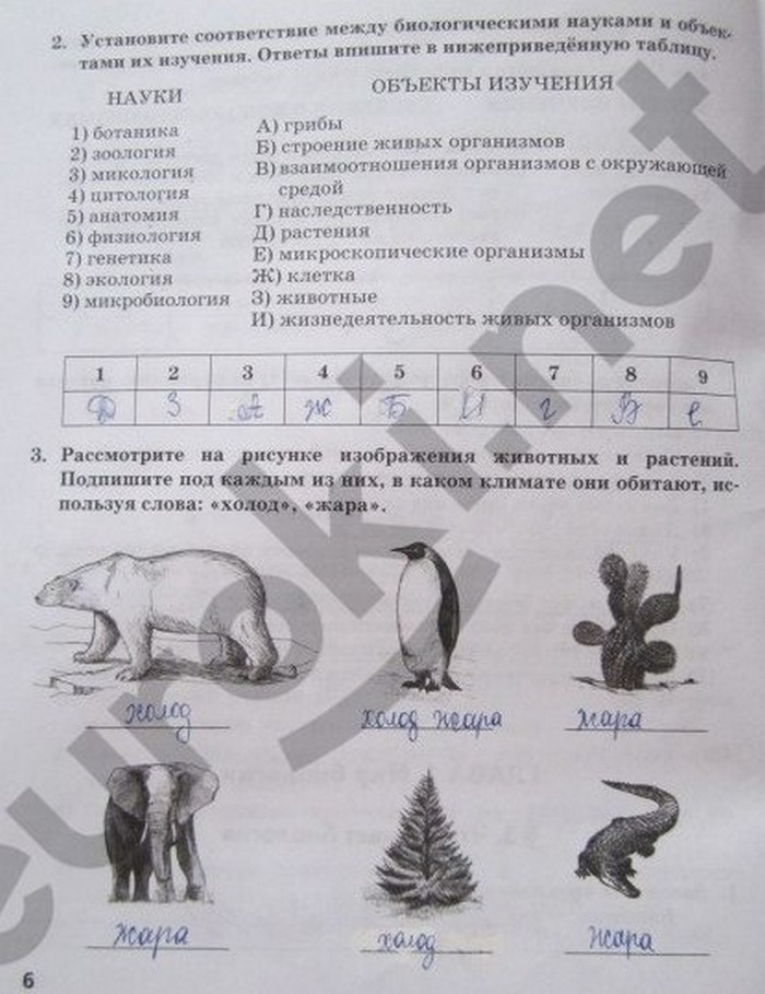 гдз 5 класс рабочая тетрадь страница 6 биология Новикова, Романова