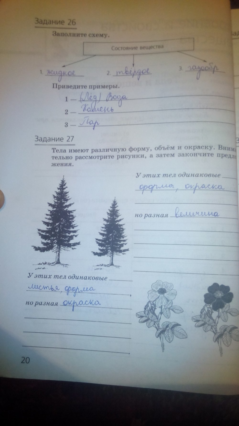 гдз 5 класс рабочая тетрадь страница 20 природоведение Пакулова, Иванова