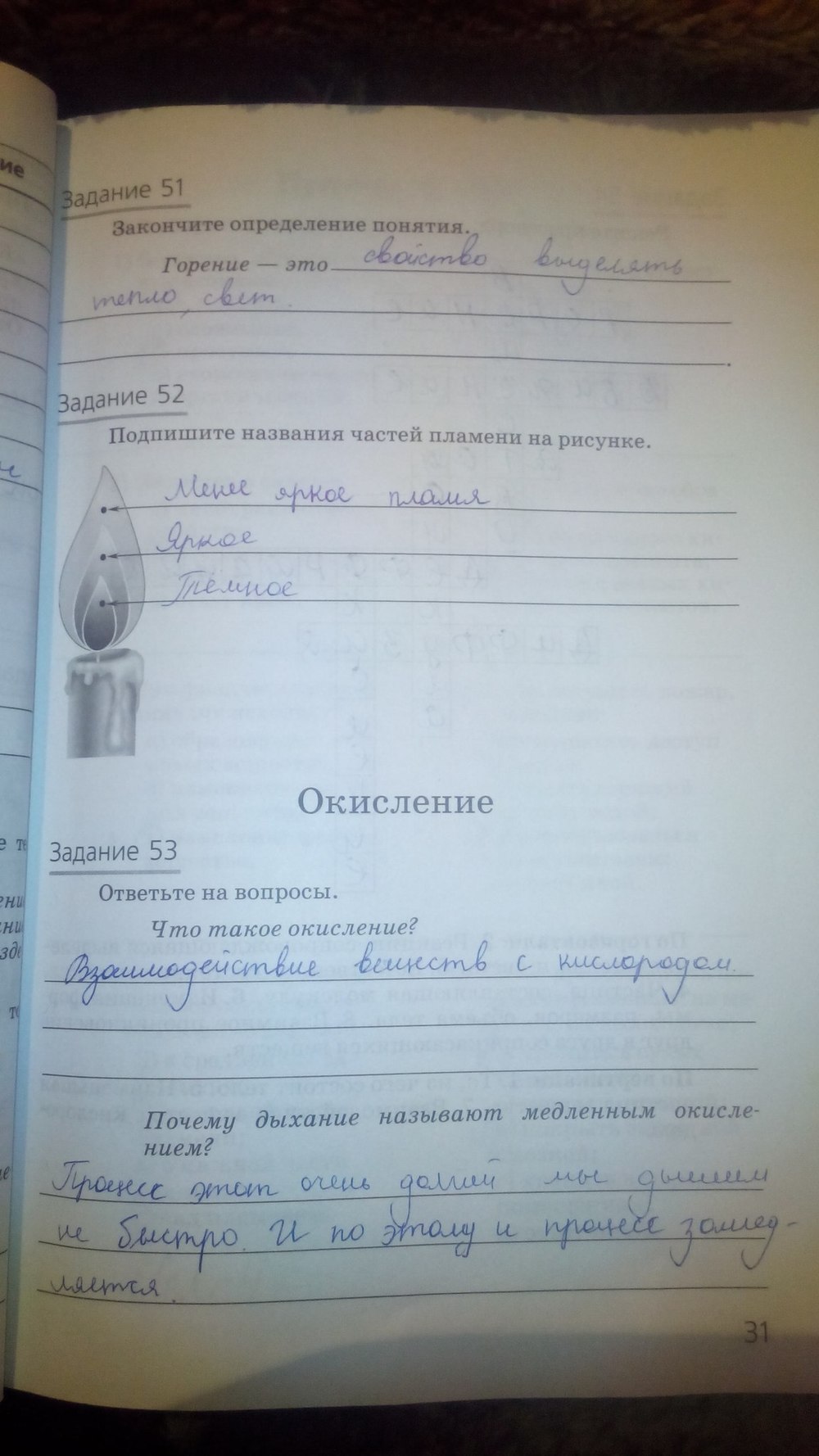 гдз 5 класс рабочая тетрадь страница 31 природоведение Пакулова, Иванова