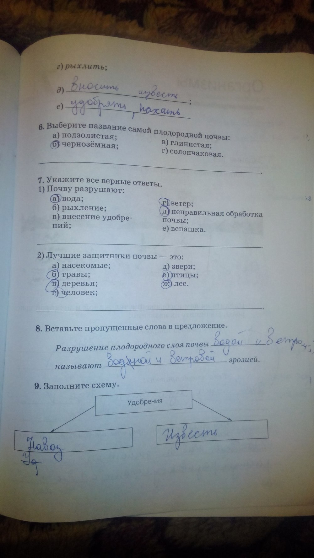 гдз 5 класс рабочая тетрадь страница 63 природоведение Пакулова, Иванова