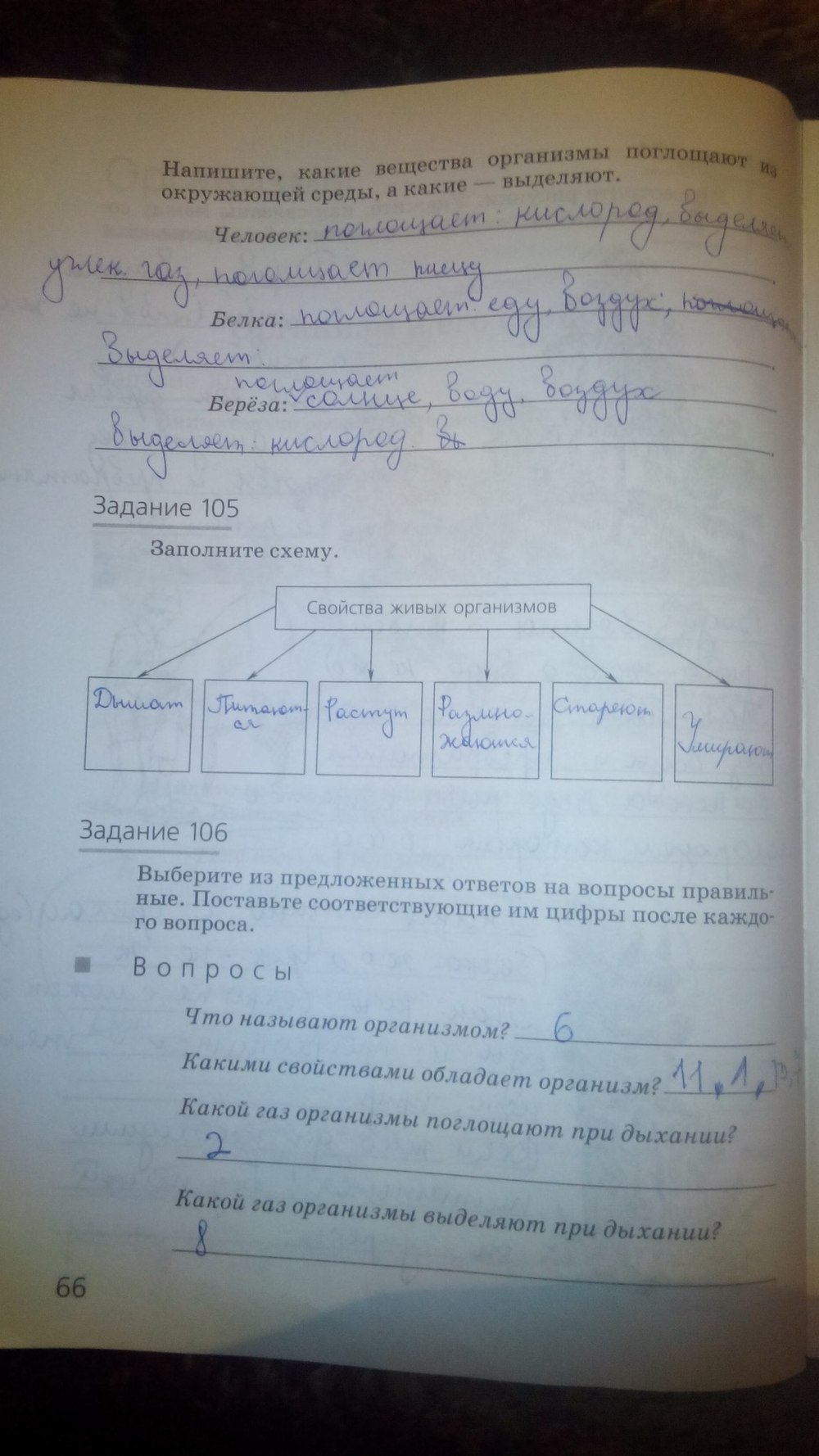 гдз 5 класс рабочая тетрадь страница 66 природоведение Пакулова, Иванова