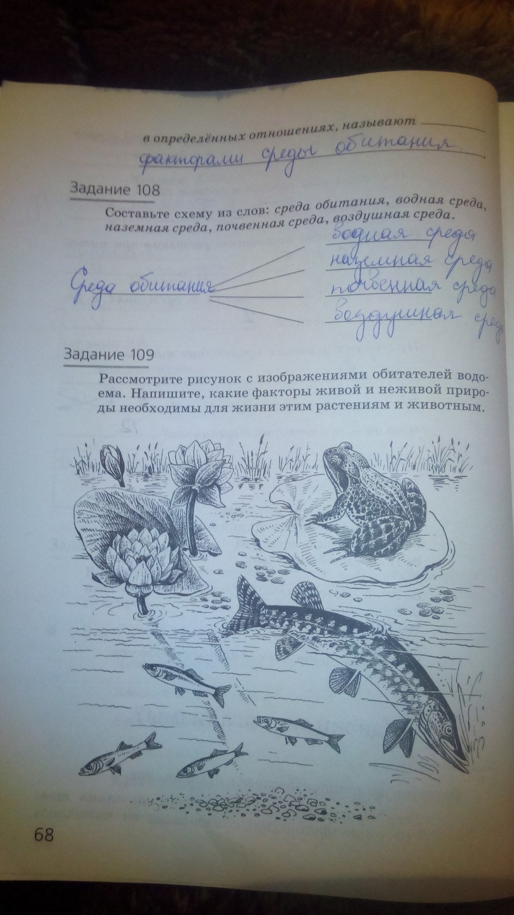 гдз 5 класс рабочая тетрадь страница 68 природоведение Пакулова, Иванова