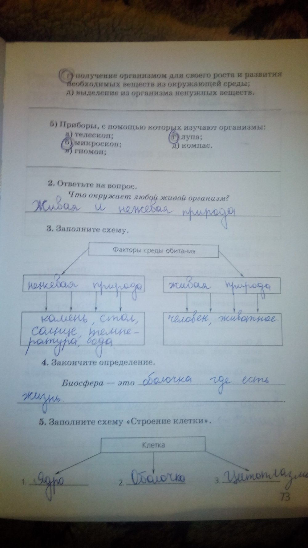 гдз 5 класс рабочая тетрадь страница 73 природоведение Пакулова, Иванова