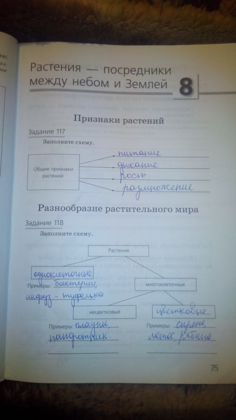 гдз 5 класс рабочая тетрадь страница 75 природоведение Пакулова, Иванова