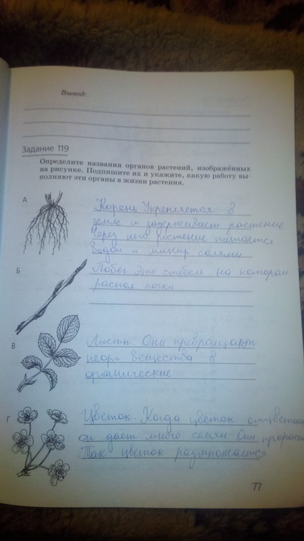 гдз 5 класс рабочая тетрадь страница 77 природоведение Пакулова, Иванова