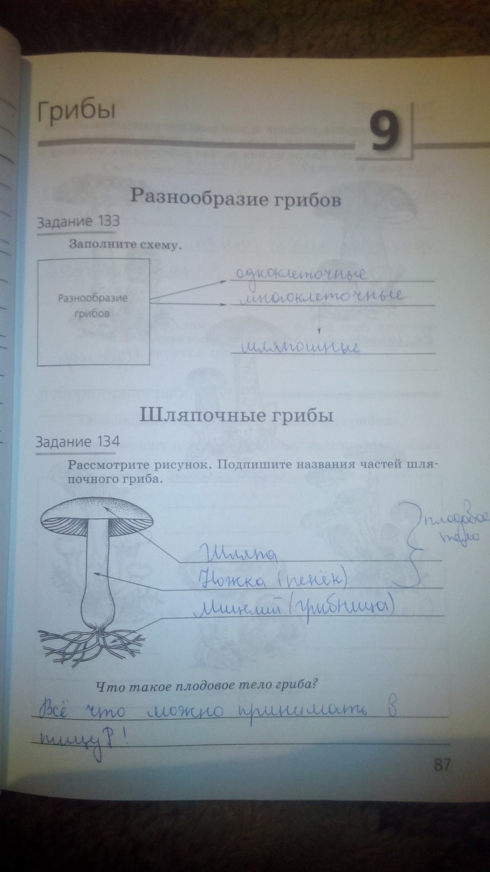 гдз 5 класс рабочая тетрадь страница 87 природоведение Пакулова, Иванова