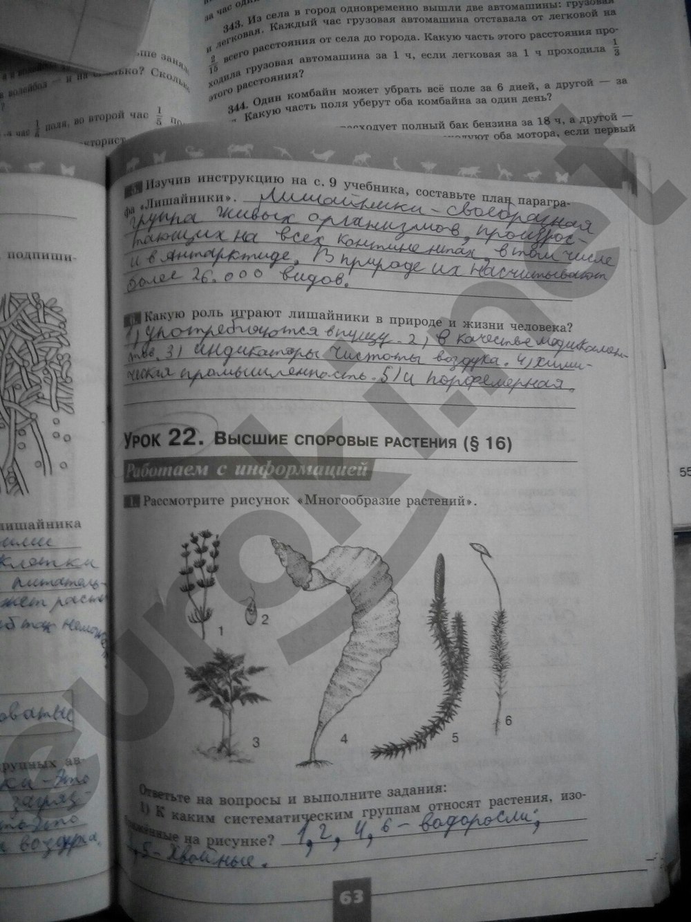 гдз 5 класс рабочая тетрадь страница 63 биология Пасечник